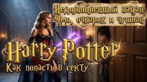 Гарри Поттер. Как попасть в секту.