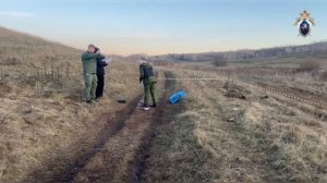 В Красноярске арестовали имущество общественницы после гибели людей от укусов собак