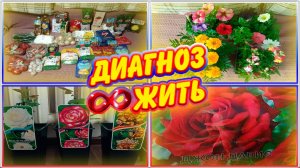 РАБОТЫ НА КЛУМБЕ | ПРОДУКТОВАЯ ПОМОЩЬ ИЗ МОСКВЫ ЧЕРЕЗ НАШ МАГНИТ | РАЗНОВИДНОСТЬ ЦВЕТОВ