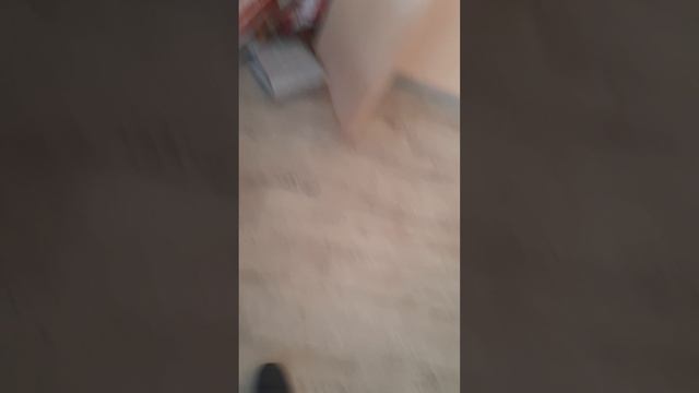 20260518_120732.mp4