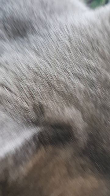 Сижу себе на подоконнике, никого не трогаю.