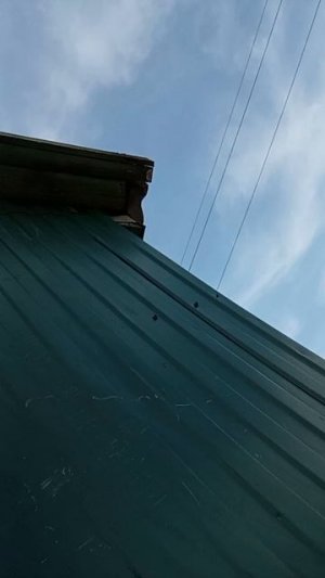 просто день в деревне