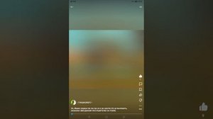 Реакция на WildNONSI(мою сестренку❤❤❤)