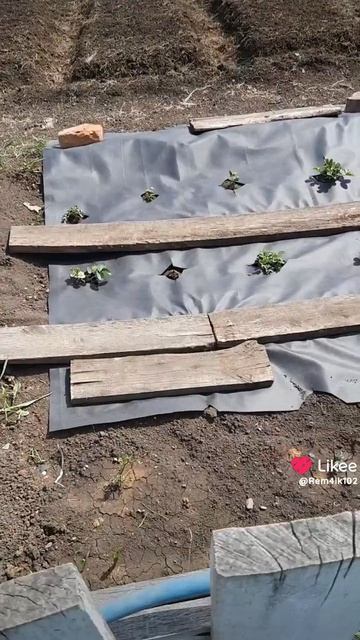 Сама себе хозяйка💥 смотреть онлайн