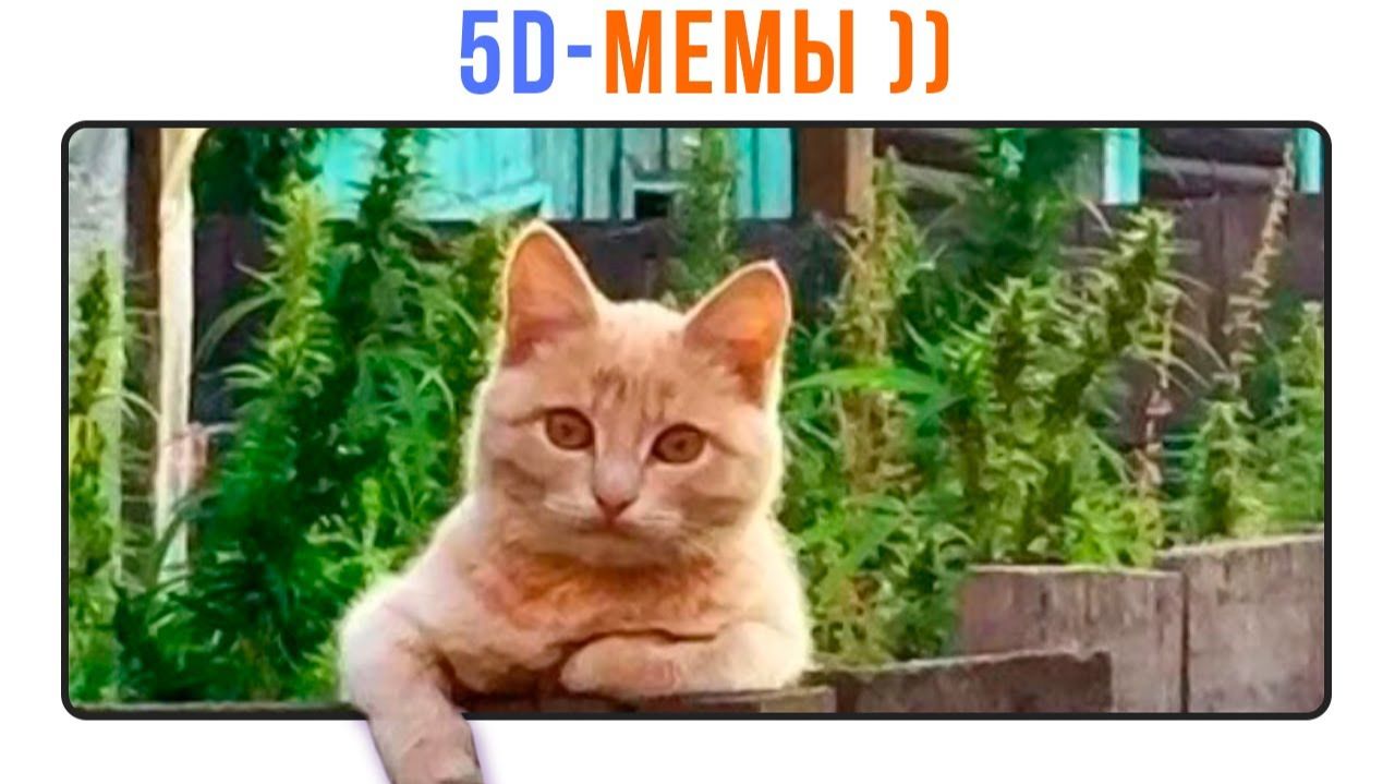 5D-МЕМЫ) РЖАКА!))) Приколы
