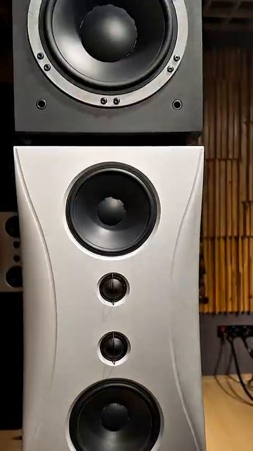 Капсула времени🔊 Безумные колонки от Dynaudio под 2 метра🔥