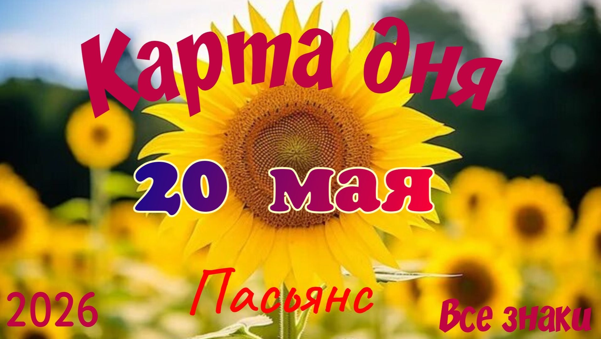Карта дня🎁 20 мая 🌞💐Пасьянс. Тайм-код в описании 🦢