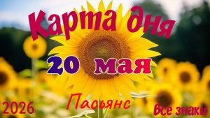 Карта дня🎁 20 мая 🌞💐Пасьянс. Тайм-код в описании 🦢
