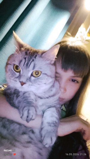 приветик