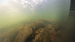Забродная рыбалка на хариуса  ЧТО ПРОИСХОДИТ ПОД ВОДОЙ (подводная сьемка)