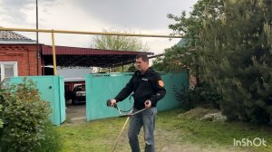 Николай косит траву,а я собираю сосновые соцветия с пыльцой!