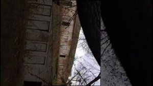 Киллер жив!!! Маньяк погиб???