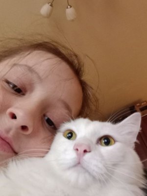 играю в стиме