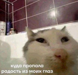 спасибо всем