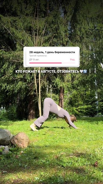 У кого  ПДР в августе - отзовитесь 🤍👇