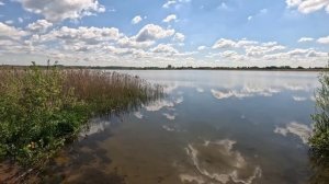 Петровичское водохранилище часть 1 #ActiveVibesBelarus #Минск #Беларусь #рыбалка #река