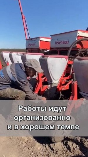 «Нигез» хуҗалыгында чәчү эшләре