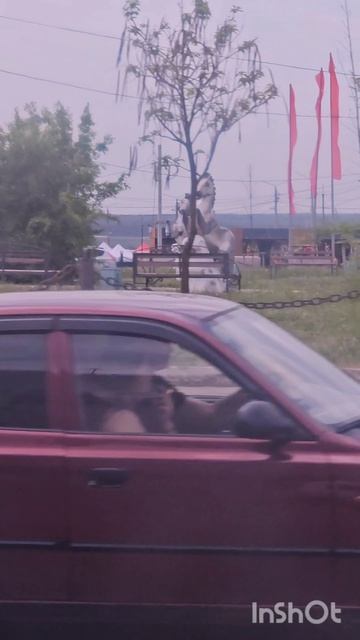 Едем на обучение лошадей