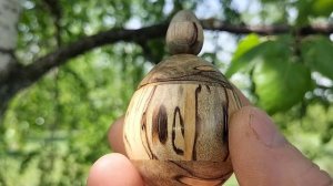 Шкатулка в майском лесу на березе
