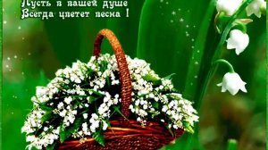 19 МАЯ.ДЕНЬ ЛАНДЫШЕЙ! ВСЕ ДЛЯ ТЕБЯ,ЛЮБИМАЯ!