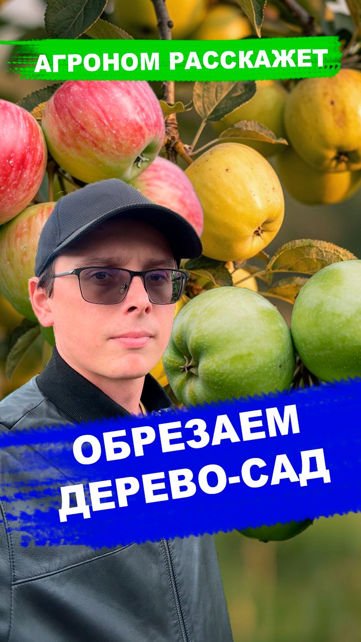 Обрезаем Дерево-Сад