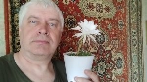 Видео: Белый цветок на кактусе, цветёт кактус, 18 мая 2026 года. Геннадий Горин