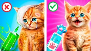Спасатели животных в больнице! Мы спасли маленьких котят