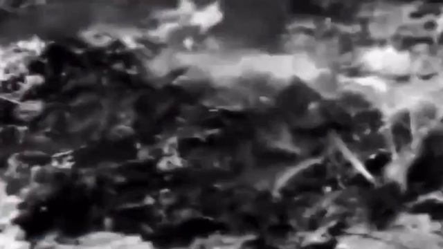 Лесные пожары