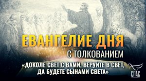 «Доколе свет с вами, веруйте в свет, да будете сынами света» / Евангелие дня