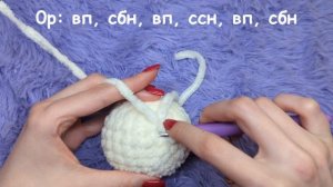 Латте: детали, мордочка