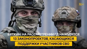 Вяткин: на рассмотрении ГД находятся 13 законопроектов, касающихся поддержки участников СВО