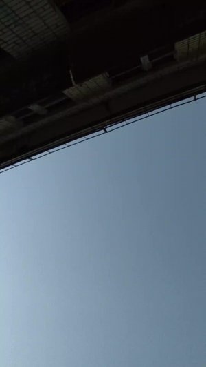 лес