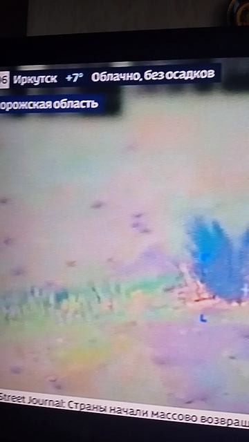 VID_20260518_080712
