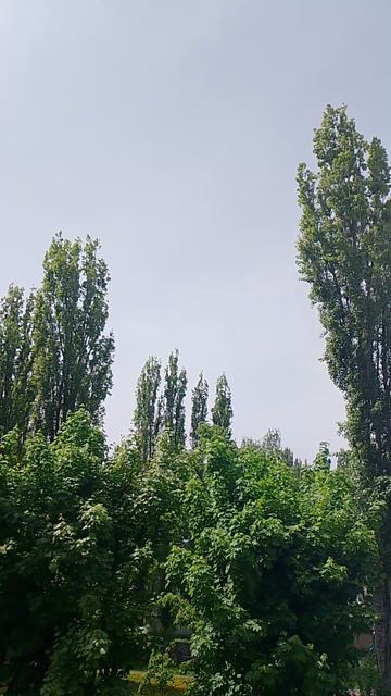 VID_20260518_134556