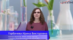 Задание №27 КИМ ЕГЭ 2026. Жизненный цикл высших споровых растений.