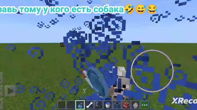 я его кормила я его поила