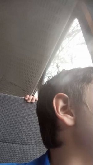 еду со школы