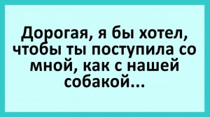 Дорогая, поступи со мной так, как с нашей собакой... | Анекдоты смешные | Юмор