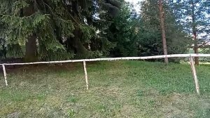 10. Павловский парк. 2026-05-17.  Хождение между растительностью.