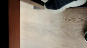 1000017091.mp4