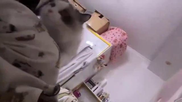 С таким будильником ты точно не проспишь на работу
