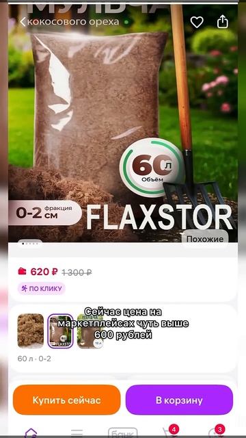 Сравнение сосны и кокоса