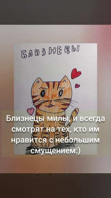 какой ты кот по зз