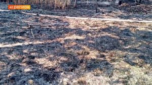 ГОРИТ ТРАВА И ДАЧНЫЕ ПОСТРОЙКИ: С ЛАНДШАФНЫМИ ПОЖАРАМИ БОРЮТСЯ НА КАМЧАТКЕ • НОВОСТИ КАМЧАТКИ