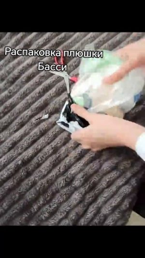 ОНА НАКОНЕЦ ПРИЕХАЛА