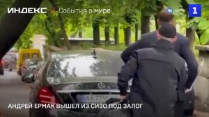 Андрей Ермак вышел из СИЗО под залог