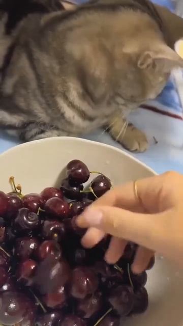 MOV_20260518_212759_945.mp4