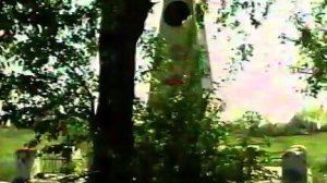 Ишим 2004. Старое кладбище.