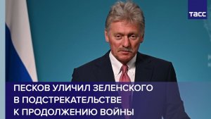 Песков уличил Зеленского в подстрекательстве к продолжению войны