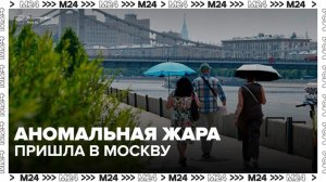 Аномальная тропическая жара пришла в Москву - Москва 24